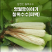 썸네일(스크롤)