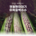 썸네일(스크롤)