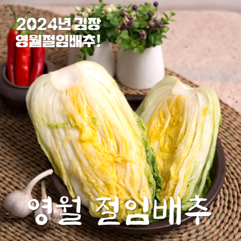 영월몰,[산지직송]영월삼굿마을 고랭지절임배추20kg(8~11포기)