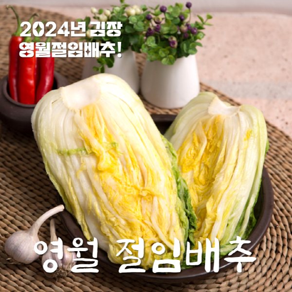 [산지직송]영월삼굿마을 고랭지절임배추20kg(8~11포기)