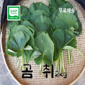 [예약판매]해발800m자란 영월 곰취2kg