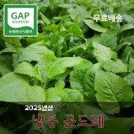 [2025년산]청정지역 영월 냉동 곤드레 4kg GAP인증 영월곤드레