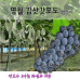 썸네일(스크롤)