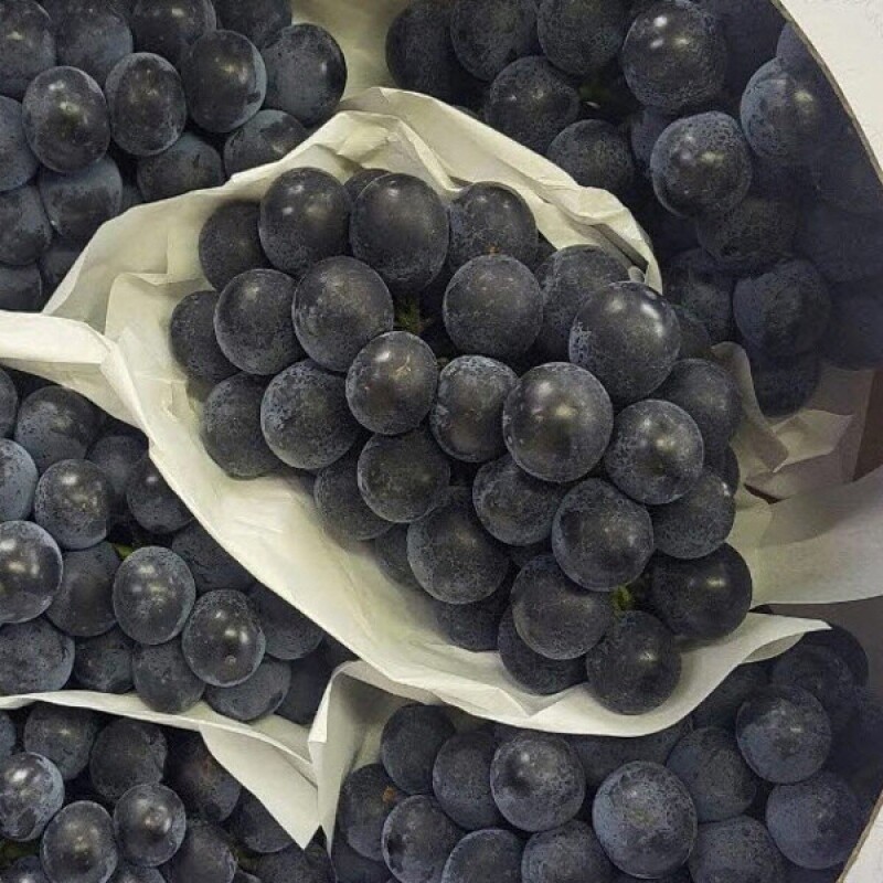 강원더몰,[명절선물] 영특한 영월흑아롱포도 3kg 차세대 프리미엄 포도