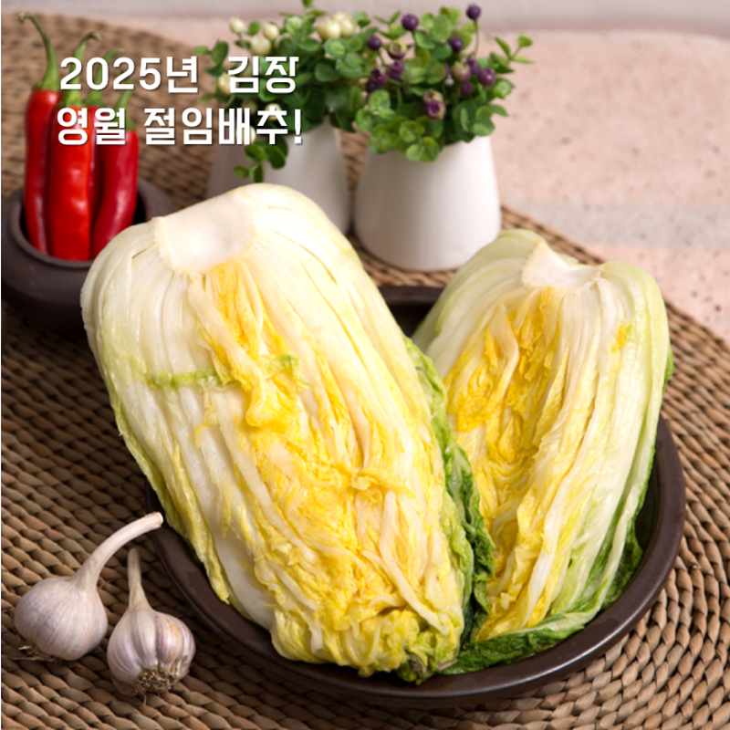 강원더몰,[산지직송]영월 고랭지절임배추20kg(8~11포기)