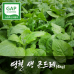 썸네일(스크롤)