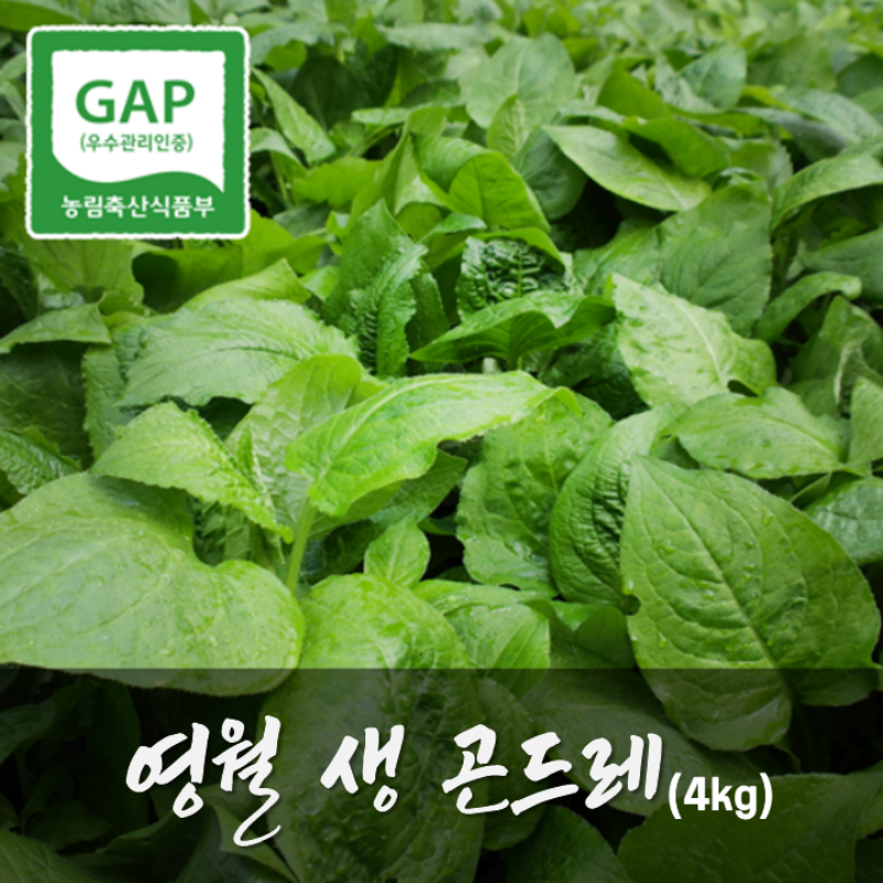 [예약주문]청정지역 영월 생곤드레 4kg GAP인증 영월곤드레