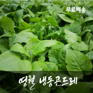 [2026년산]청정지역 영월 냉동 곤드레 4kg  영월곤드레