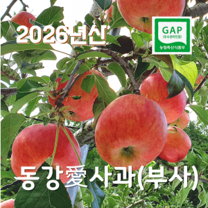 [왕과사는영월] 사과 부사5kg 높은 당도에 아삭하고 과즙이 풍부한 사과GAP인증